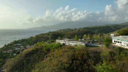 P(Art)age & Handicap 2024