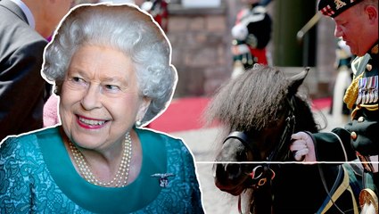 Queen’s poignant remark during final ride on beloved pony shared by groom