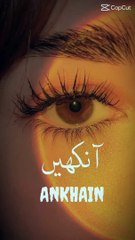 #Teri Aankhon ki saholat ho muyasar #viralreel