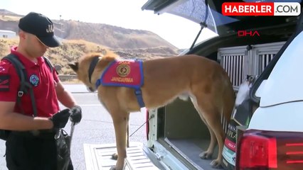 Gelen son ihbar da asılsız çıktı! Narin Güran'dan 18 gündür haber yok