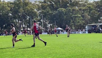 2024 HDFNL grand final - White Hills def Leitchville-Gunbower.