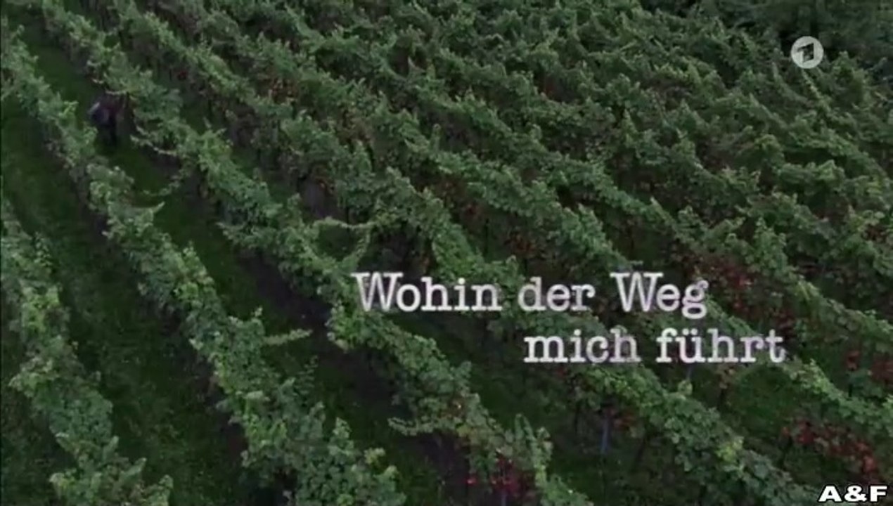 Wohin der Weg mich führt