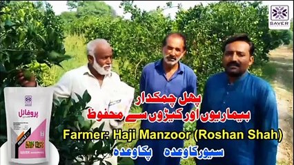 Excellent Result of "PROFILE" at Roshan Shah.