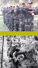 Guerrilla vs Paramilitares: Diferencias clave y contexto político