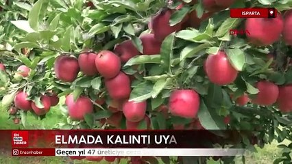 Isparta'da elmada kalıntı uyarısı