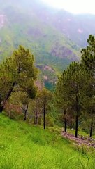 Abbottabad Mountains Beautiful View 4