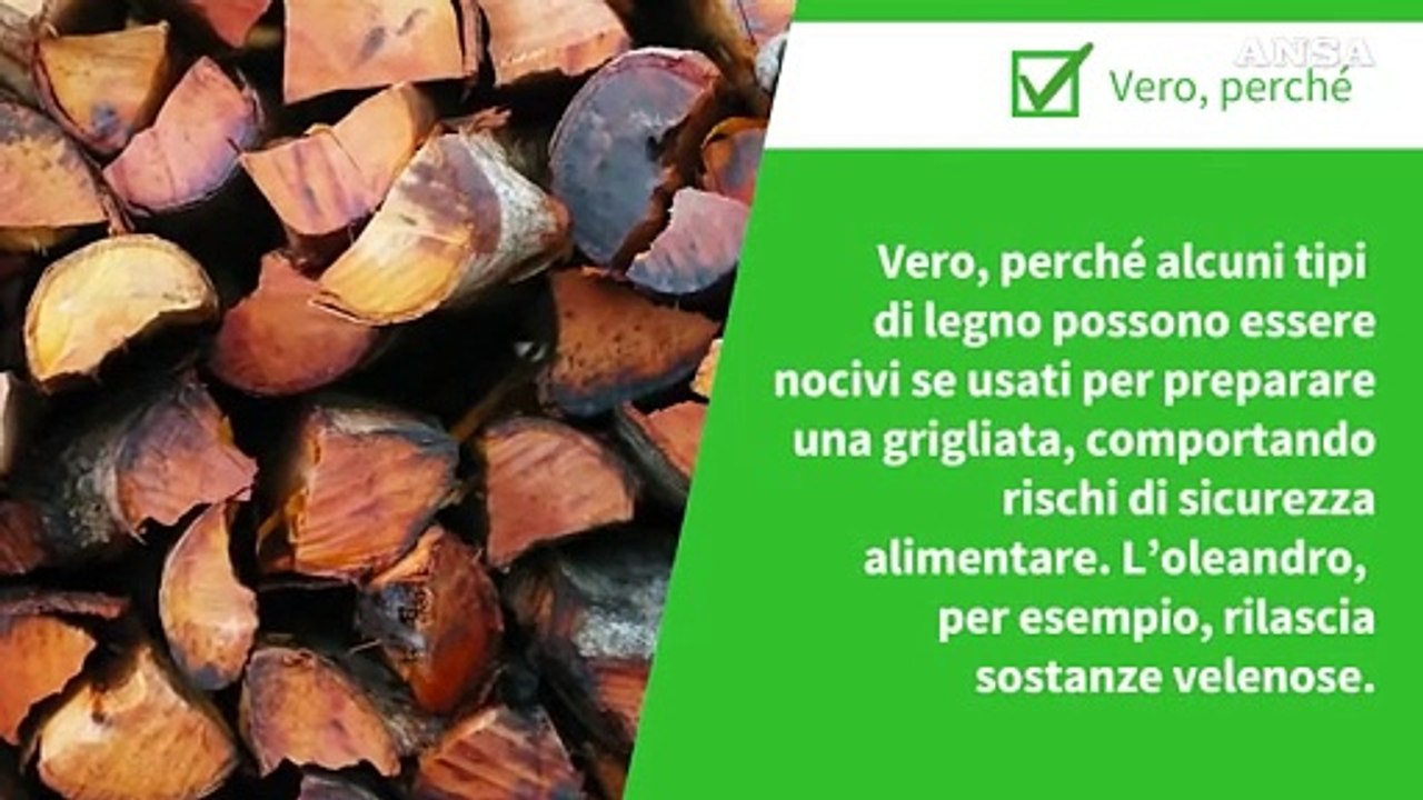 ANSA VERIFIED - E' vero che alcuni tipi di legna non sono idonei per le grigliate e gli usi alimentari?