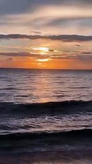 Which one you choose?