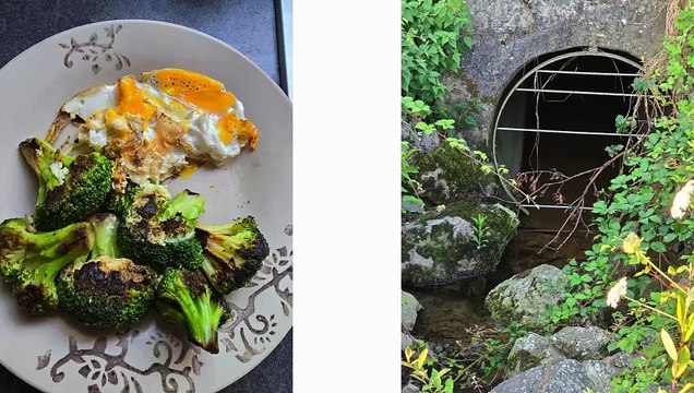 Samsung S24 Ultra - Photos et Vidéos Testées. Dis Adieu à un Appareil Photo Pro !