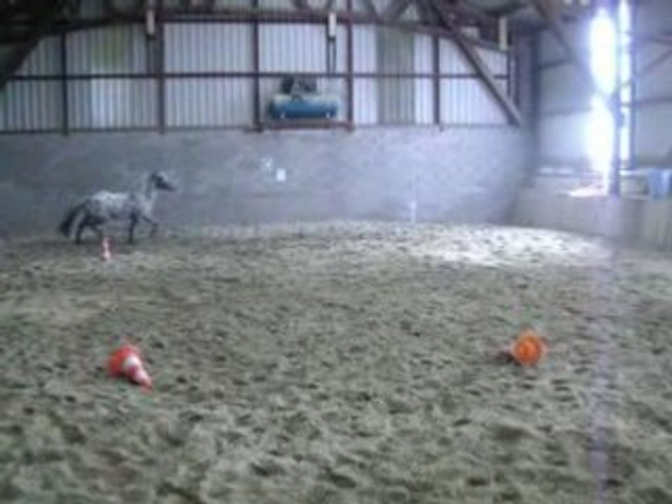 Dimanche cheval 020