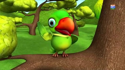 Main Tota Hindi Rhyme | Children Hindi Rhyme | Hindi Rhyme