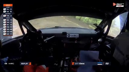 WRC 2024 Greece SS11 Tanak Two Wheels