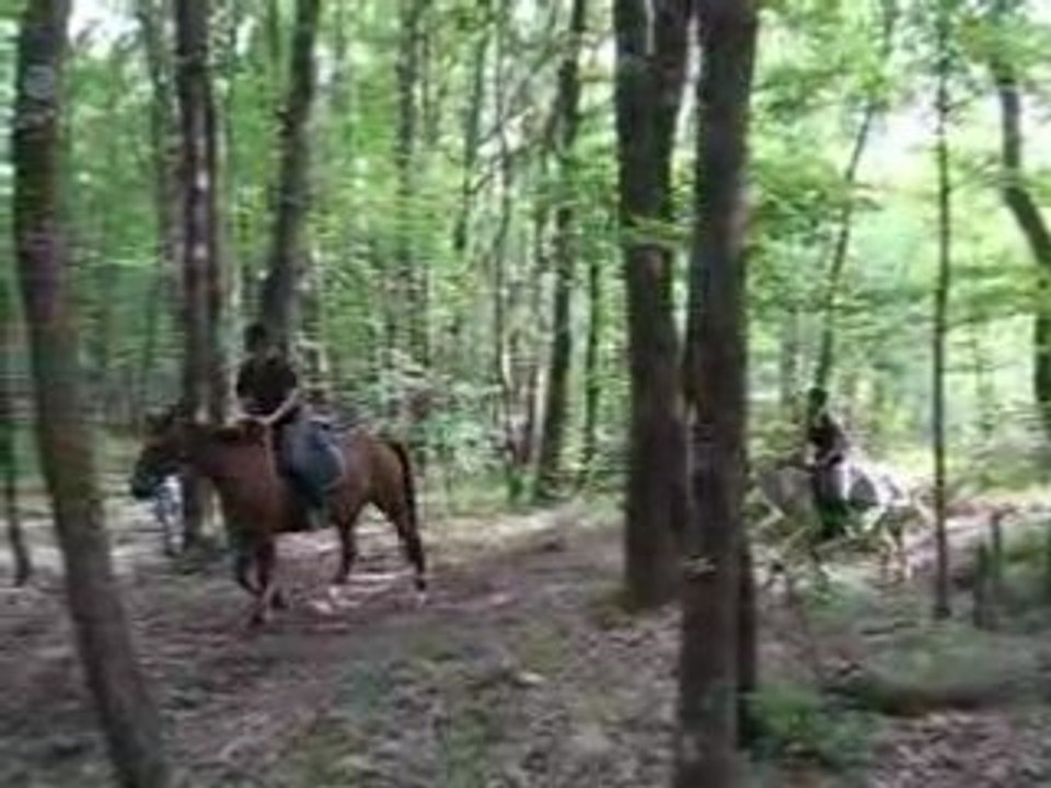 Ballade
