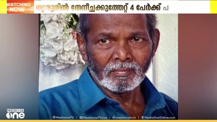 നിലവിളി ശബ്ദം കേട്ടെത്തിയ പരിസരവാസിയെയും കടന്നലുകൾ ആക്രമിച്ചു; കോഴിക്കോട് ഒരാൾ മരിച്ചു