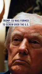 Trump: EU was formed in order to screw the US