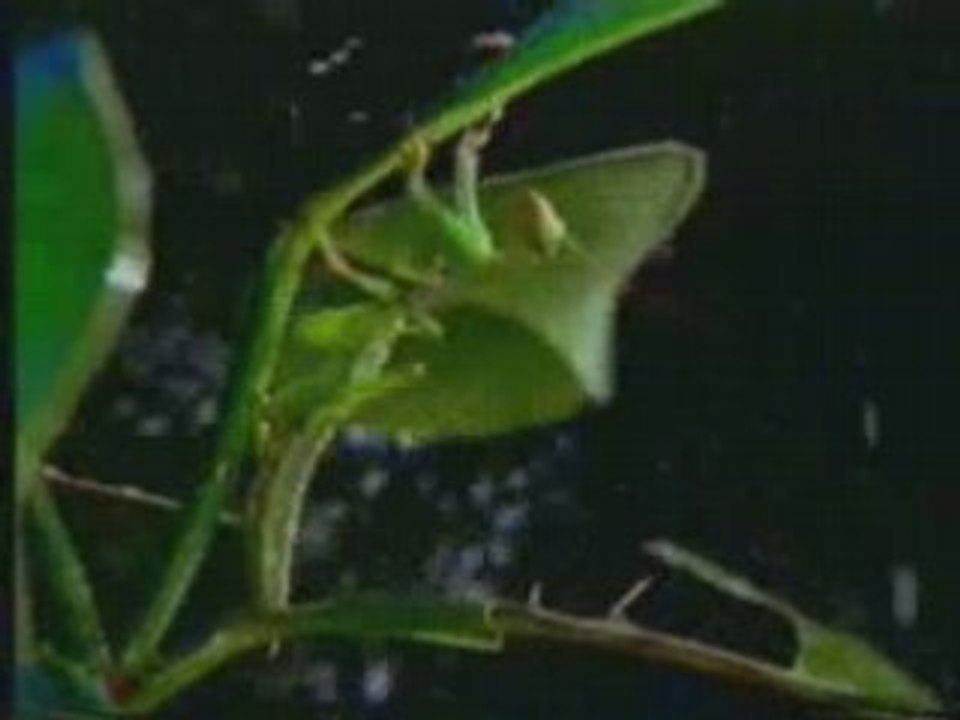 Les miracles scientifiques du coran- Documentaire 4/6