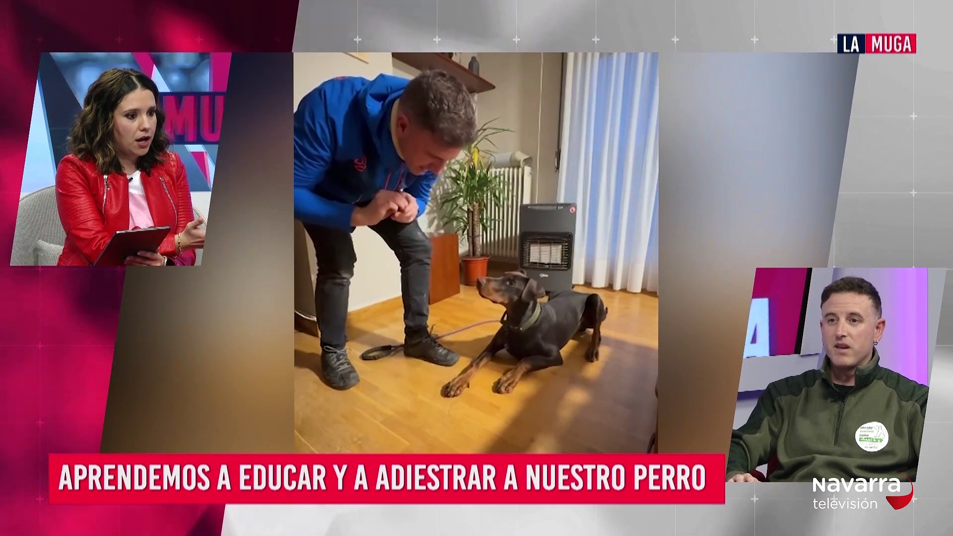 Cómo educar y adiestrar a nuestro perro