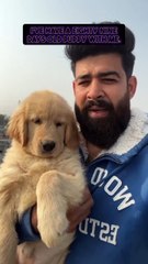 🐾🐶 Welcome to the ultimate dog lovers' paradise! In this video, we’re div