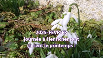 2025-FEVRIER-BALADES & RANDOS