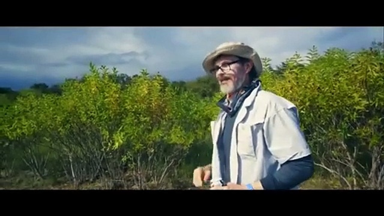 Terror en el Lago  Thriller  Suspenso  Peliculas Completas en Espanol Latino