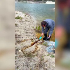 Outstanding Rings made by Master. Expensive Jewelry ideas made out of Cheap Materials