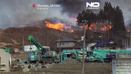 Giappone: un incendio devasta 'area settentrionale del Paese, almeno un morto e migliaia di sfollati