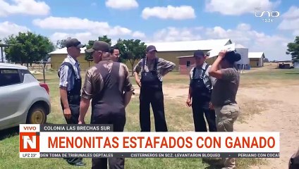 MENONITAS ESTAFADOS CON GANADO