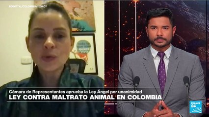 Andrea Padilla: 'Ley Ángel establece un aumento de penas contra los maltratadores de animales'