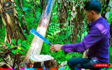 Building an Ancient Tree Shelter | Solo Survival & Wild Construction