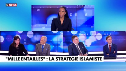 Charlotte d'Ornellas analyse la stratégie islamiste visant à terroriser la France