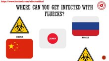 Where can you get infected with flukes?