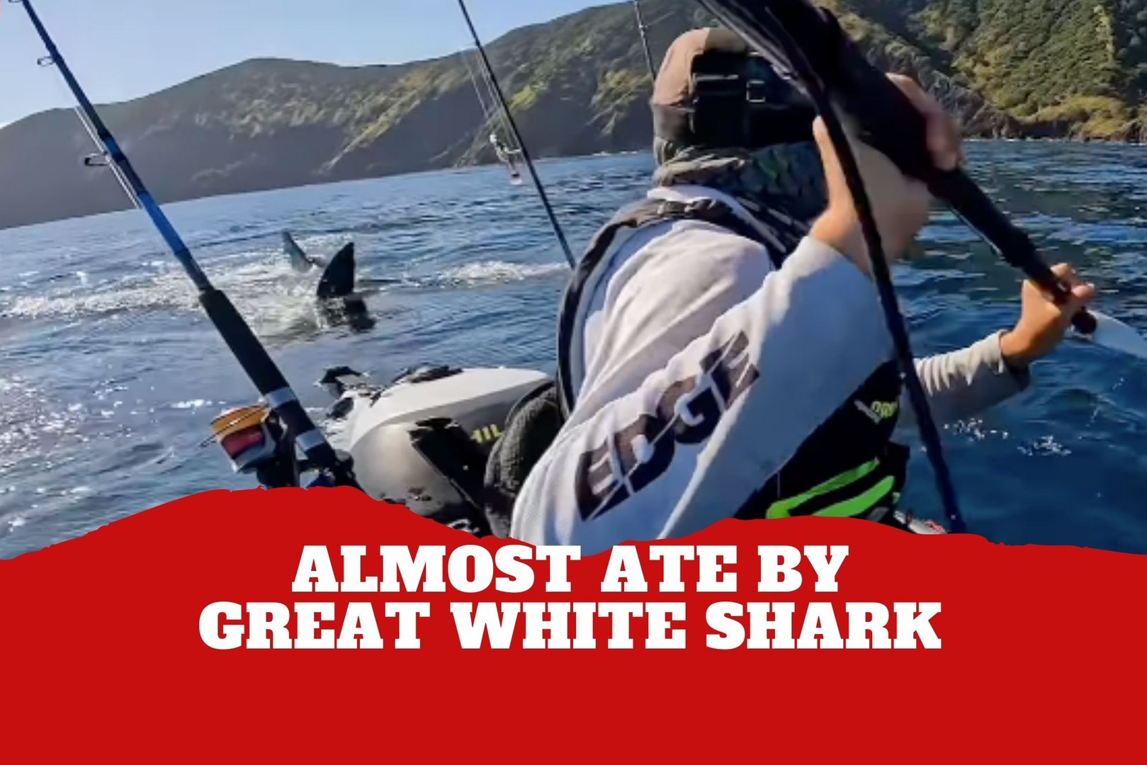 Fisherman keeps his cool as great white shark chases his kayak in  terrifying encounter