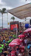 Trio de Bell Marques fica preso a coqueiro na saída da Barra