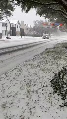 Houston, TX Skiing, January 2025