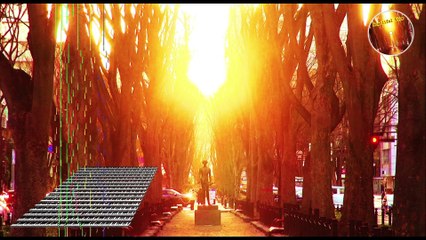 Youhei Red - Beautiful View 🎶 Official Music Video