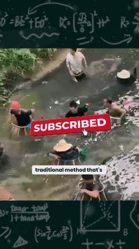 Unbelievable! Catching Fish with Bare Hands Using an Ancient Technique!