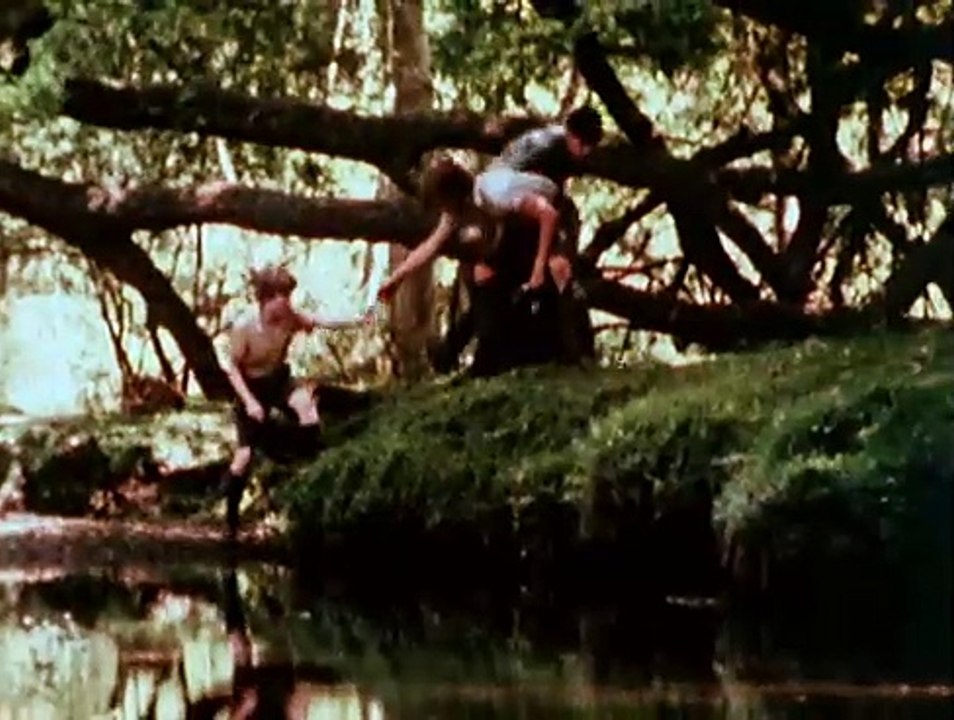 Im Schatten der Eule E05 - Schwein gehabt