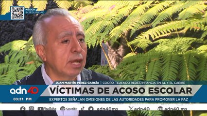 Más de tres millones de estudiantes han sido víctimas de acoso escolar
