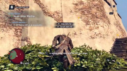 Assassin's Creed Rogue Gameplay Walkthrough Part 3 - We The People (PC)