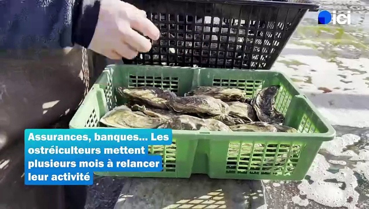 Tempête Xynthia : 15 ans après, la renaissance du port ostréicole de Talmont-Saint-Hilaire