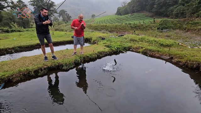 mqn-Pesca de Truchas Yiye- Un paraíso en las faldas del Volcán Poás-270225