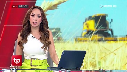 Trabajo de 15.000 transportistas está en riesgo por la falta de diésel, según dirigente