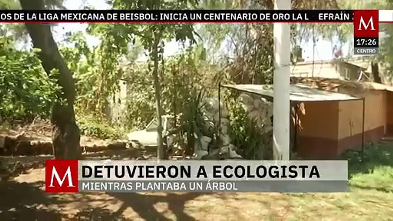 Hombre detenido en Benito Juárez fue por romper banqueta, no por plantar árbol, aclara alcaldía
