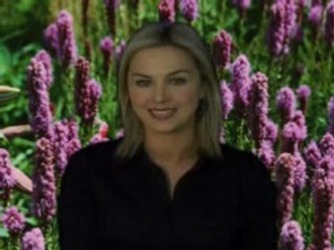 Russell Grant Video Horoscope Aries 03.05.2008