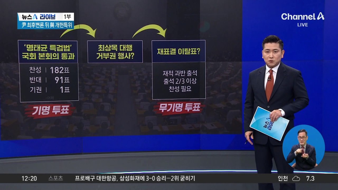‘명태균 특검법’ 국회 통과…최상목, 거부권 행사할까