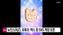 뉴진스(NJZ), 유튜브·엑스 등 SNS 계정 오픈 / YTN