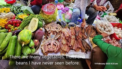 Old Market - Amazing vegetables & meats, Siem Reap - Cambodia Holidays