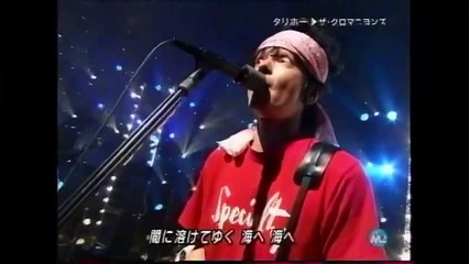 ザ・クロマニヨンズ｜THE CRO-MAGNONS｜タリホー
