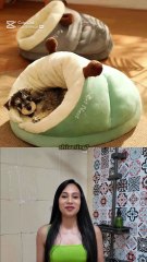 Soft Slipper-Shaped Pet Bed