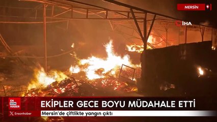 Mersin'de bir çiftlikte yangın çıktı